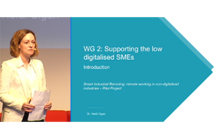 WG2 - Supporting the low digitalised SMEs 