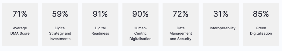 Digital Maturity Assessment T0 scores 